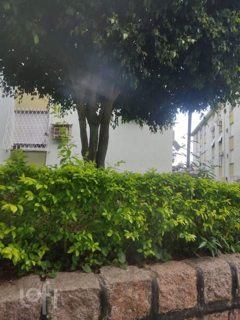 Image 2 - 243516